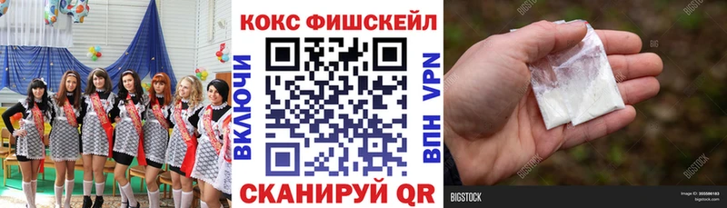COCAIN Fish Scale  Кирово-Чепецк 