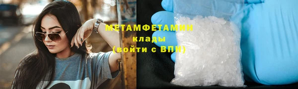 ГАЛЛЮЦИНОГЕННЫЕ ГРИБЫ Козловка