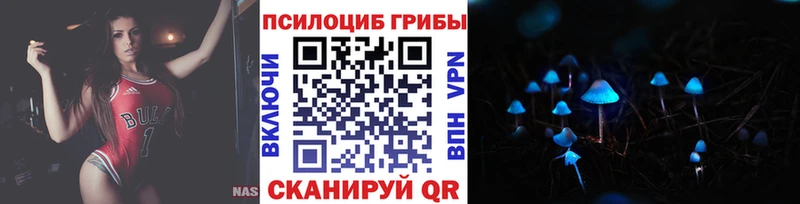 гидра   Кирово-Чепецк  Галлюциногенные грибы Cubensis 